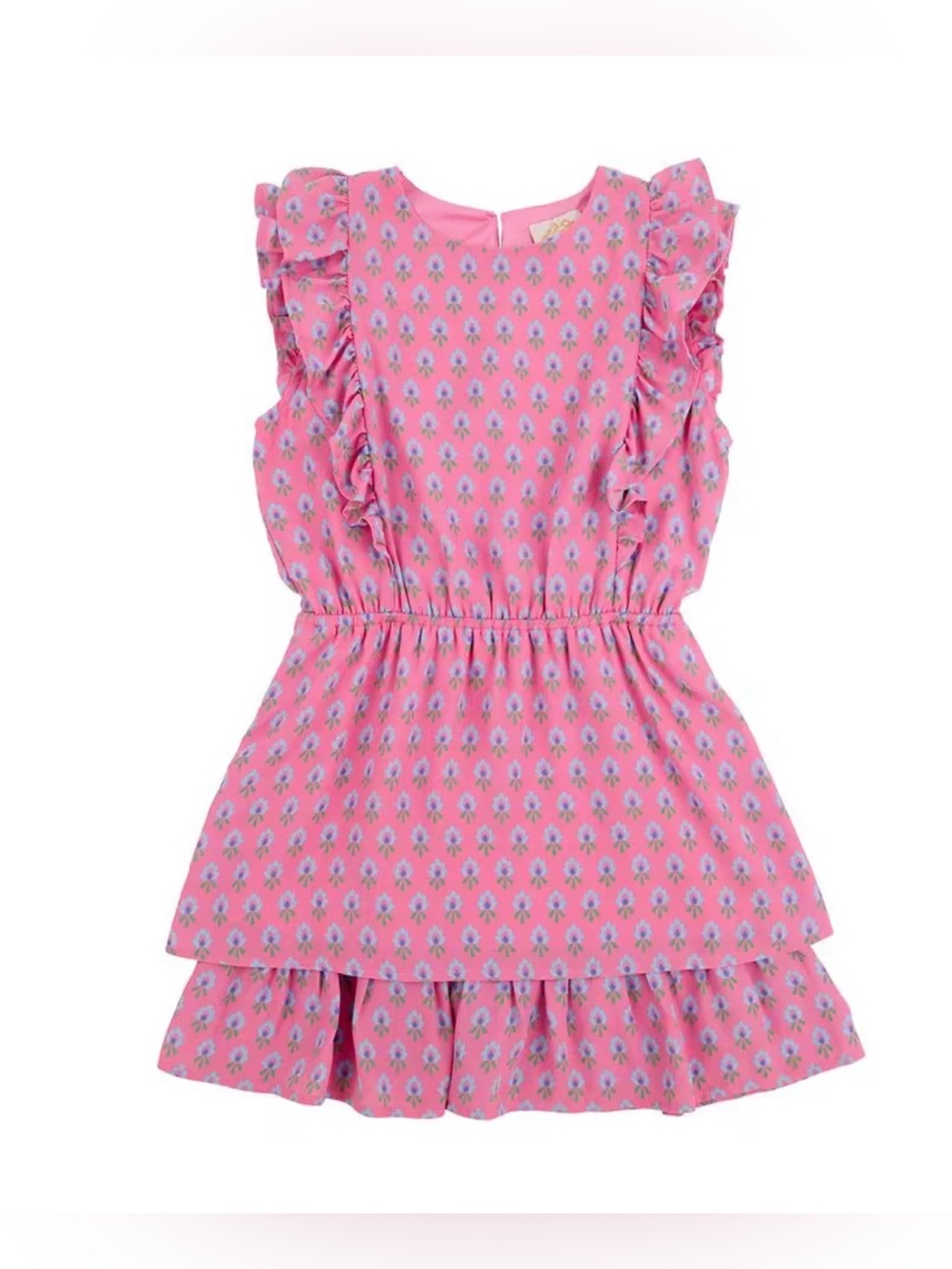 The Beaufort Bonnet Company Emily Rives Ruffle Dress- Holly Hills Hand block